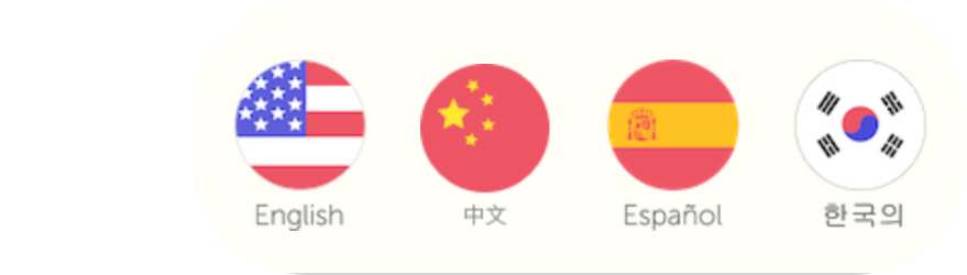 icons with national flag colors represent multiple language options